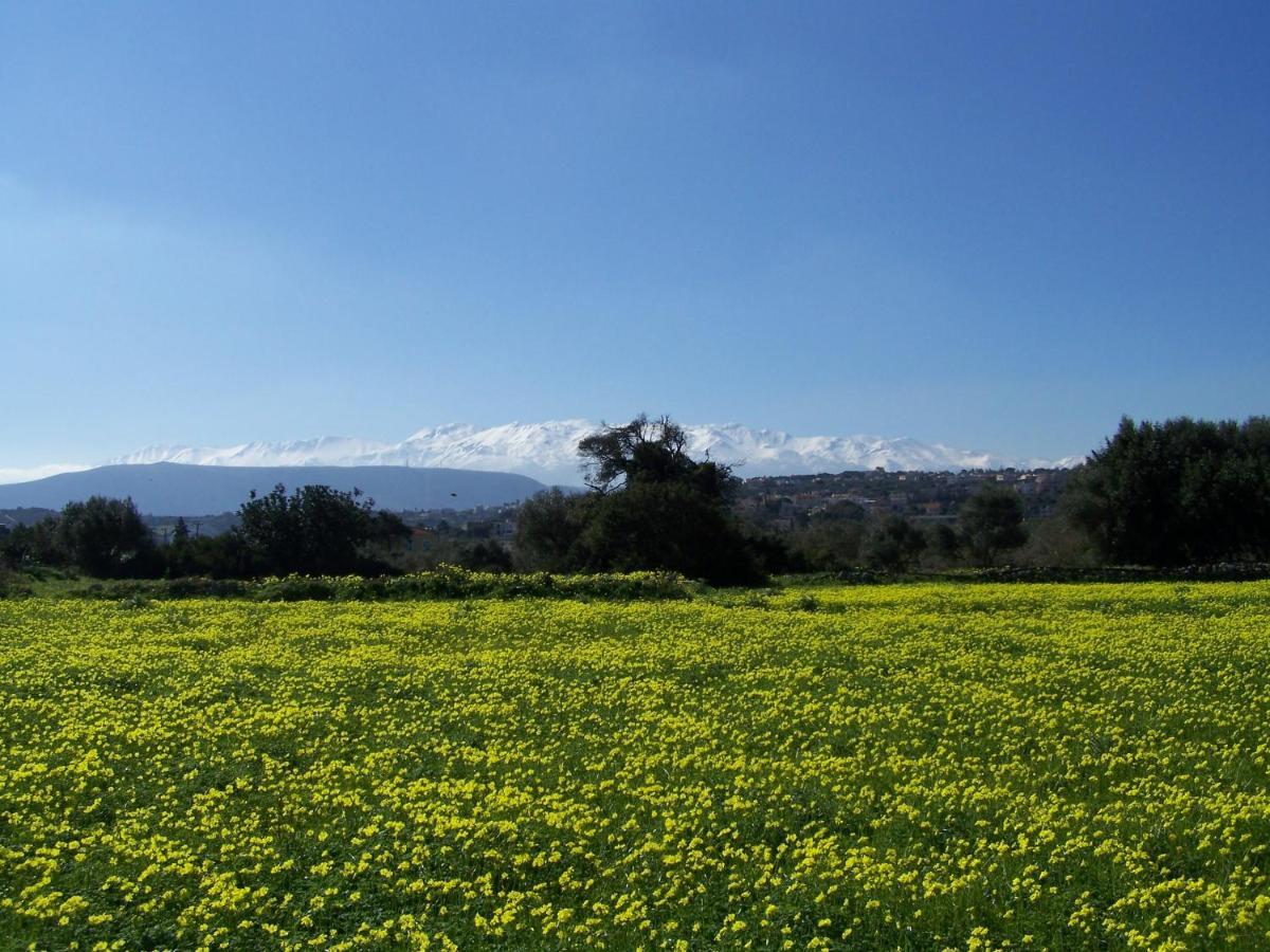 Manolo S Olive Farm, Apartment With Seaview 하니아 외부 사진