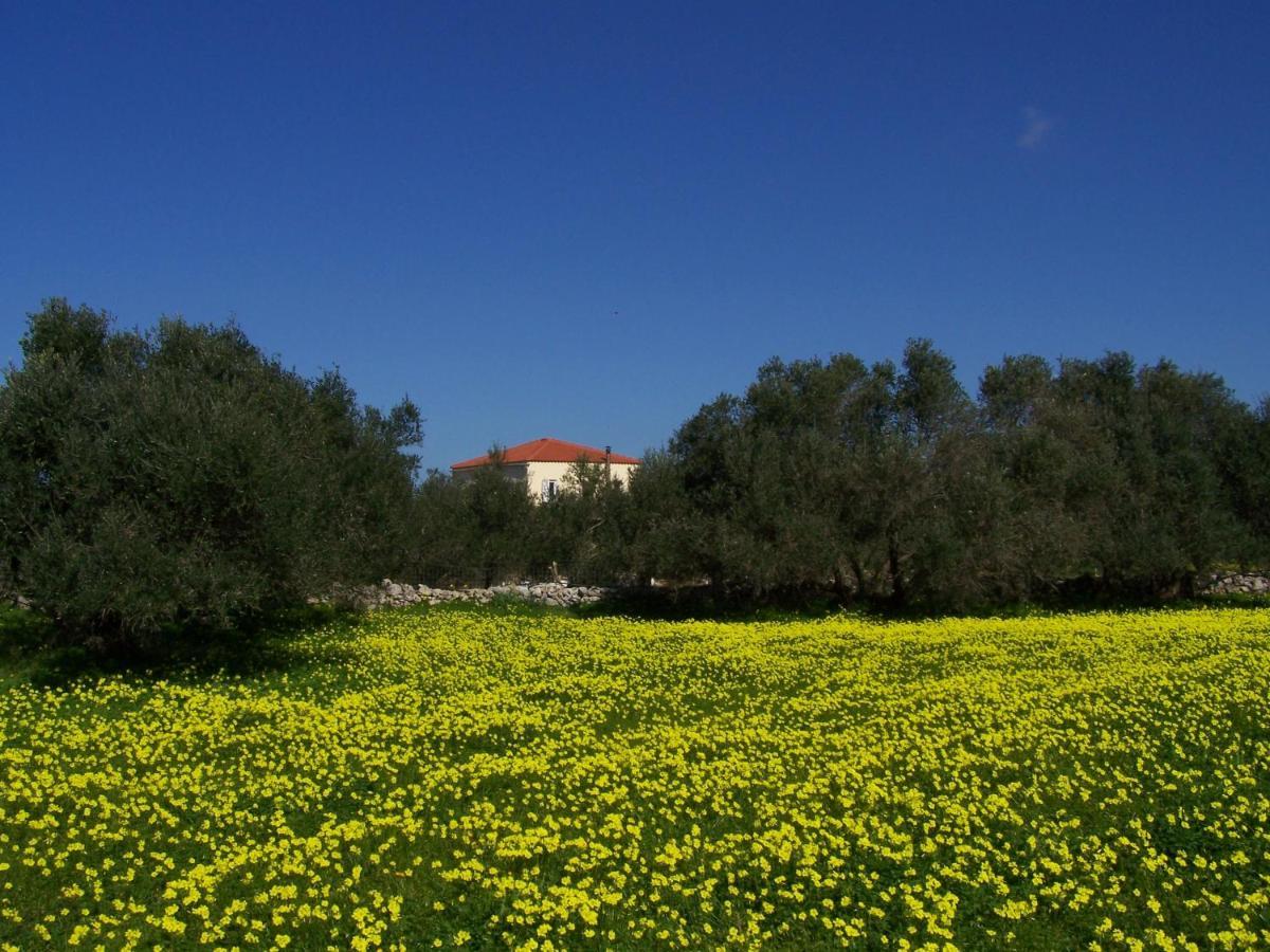 Manolo S Olive Farm, Apartment With Seaview 하니아 외부 사진