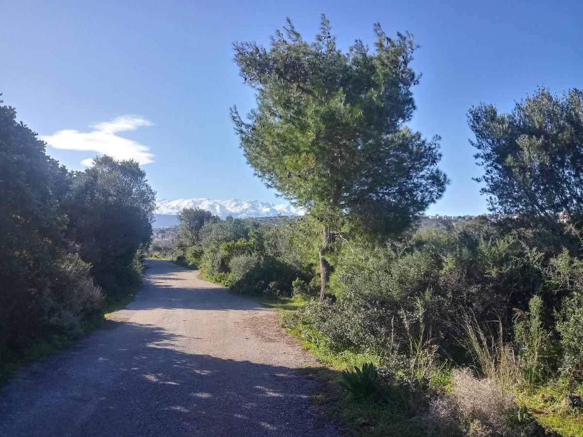 Manolo S Olive Farm, Apartment With Seaview 하니아 외부 사진