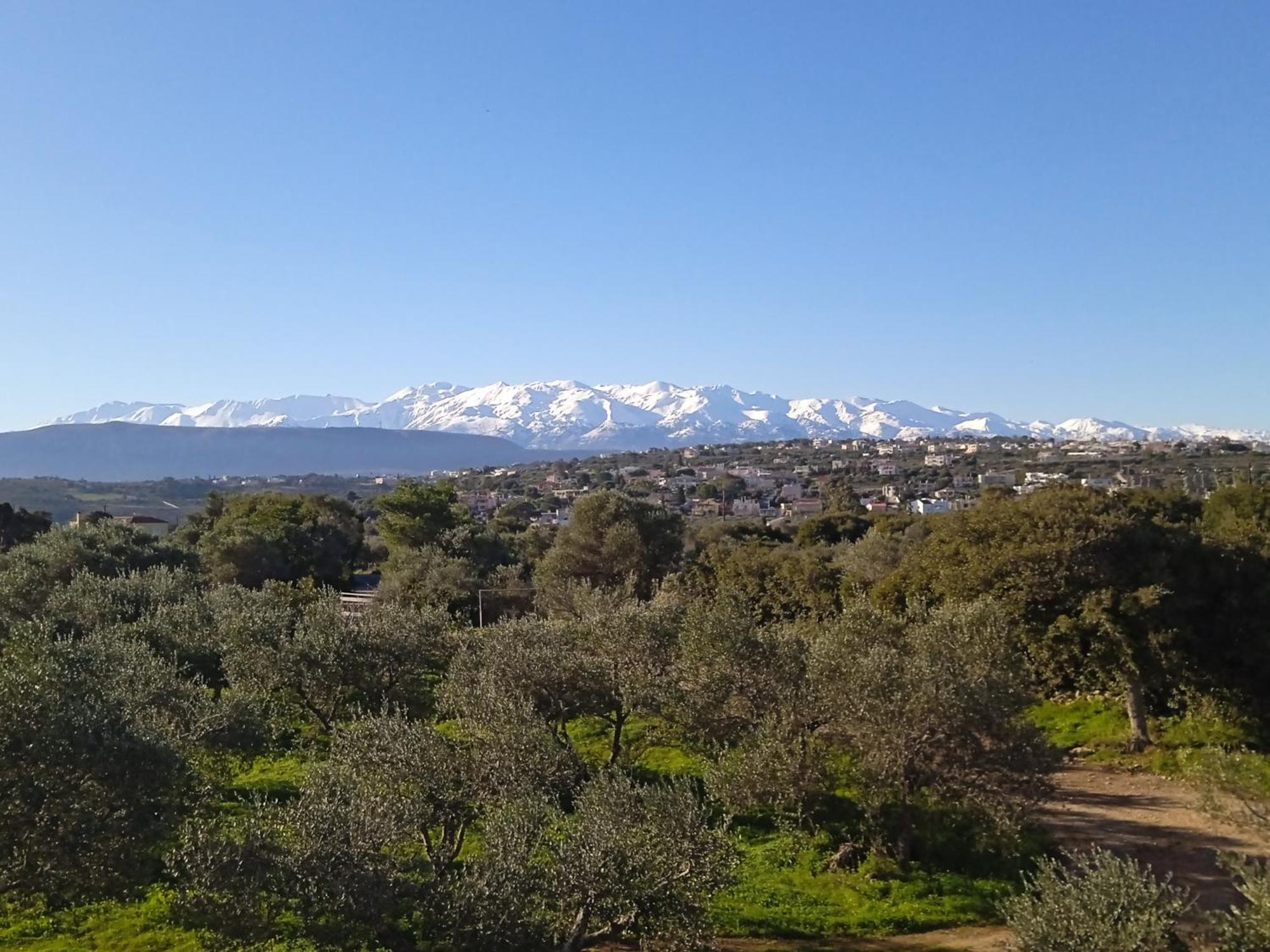 Manolo S Olive Farm, Apartment With Seaview 하니아 외부 사진
